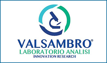 Valsambro logo